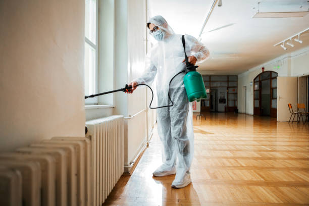 Best Residential Pest Control  in Manchester, MI